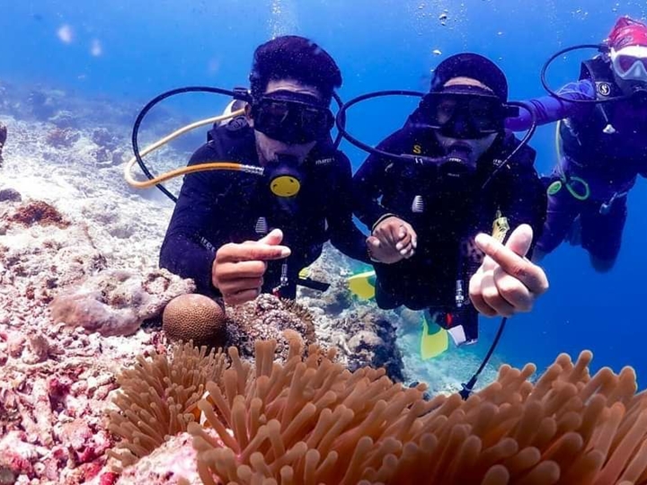 Wow Sandakan @ 5D4N - From Dark Jungle 2 Sunny Beaches